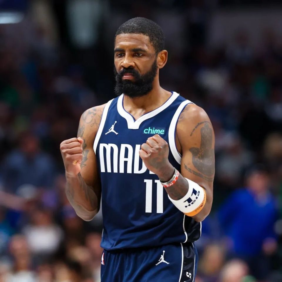 他们不仅提 他们不仅提